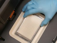 Termocykler do przeprowadzania reakcji ilościowych (ang. Q-PCR)